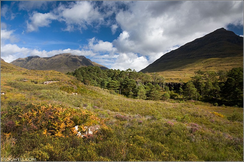Liathach and Torridon Forest.jpg